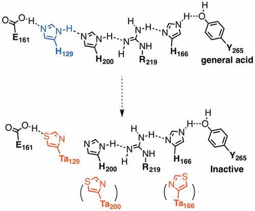 ACS Chem Biol 2016_11_3305